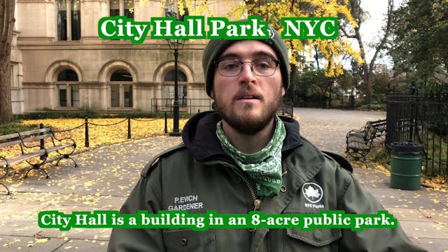 City Hall Park Gardener exit debriefing part one: Dept of Parks