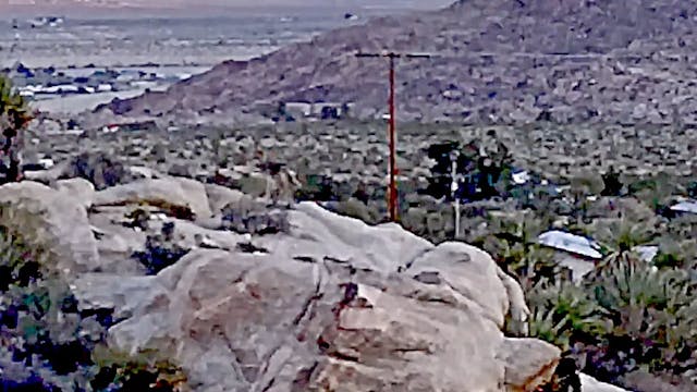Coyote Observes Mojave Observed and E...