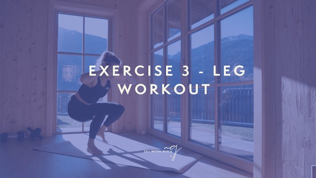 Exercise 3 - Leg workout (not for people with knee issues)