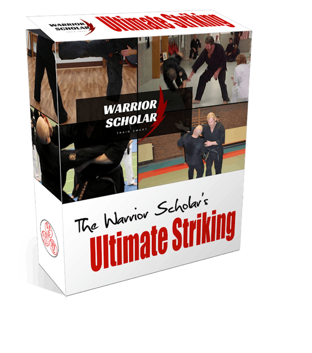 Kosho Ryu Striking Mini Course