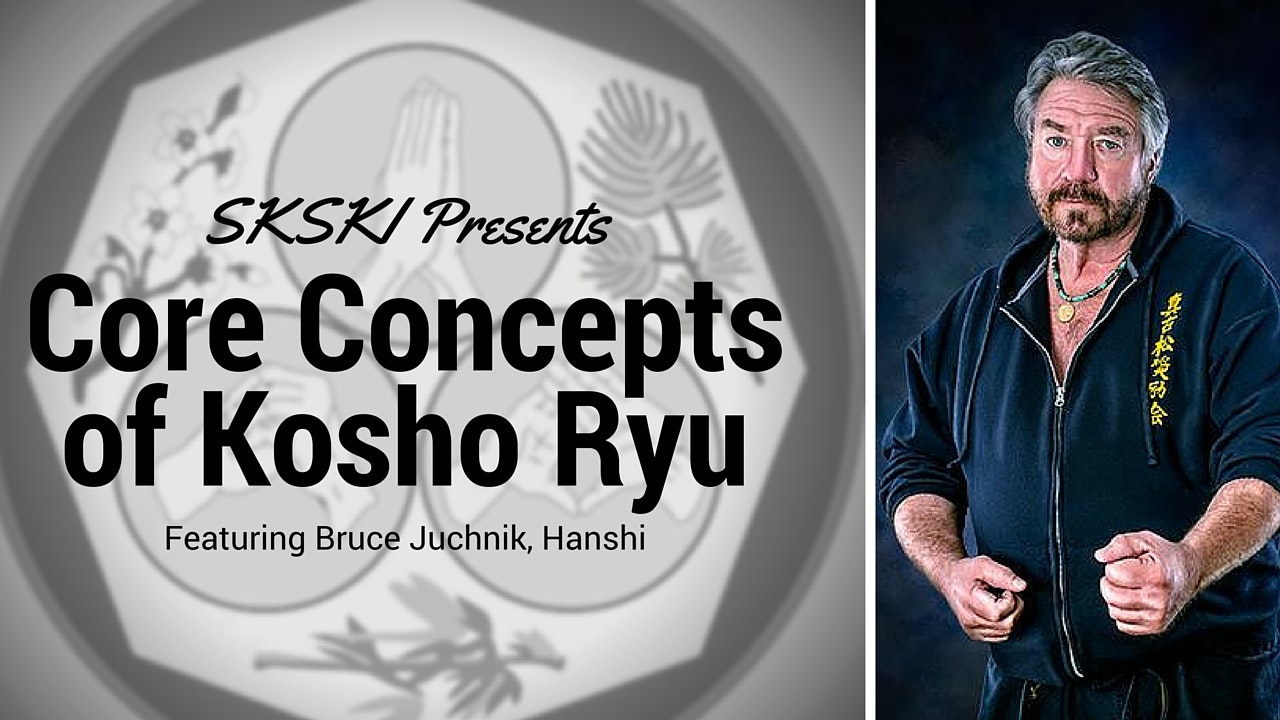 Core Concepts of Kosho Ryu