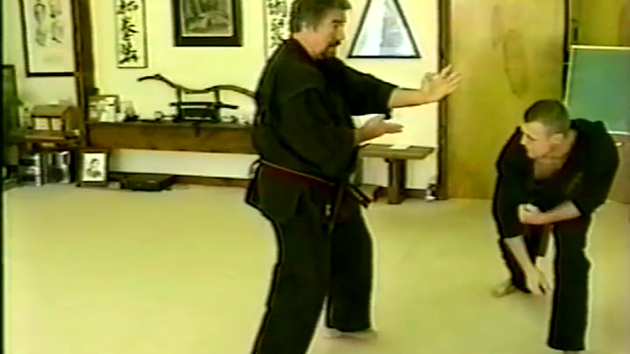 Kata to Kumite 3