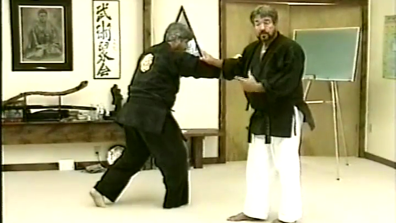 Steps of Kempo #1