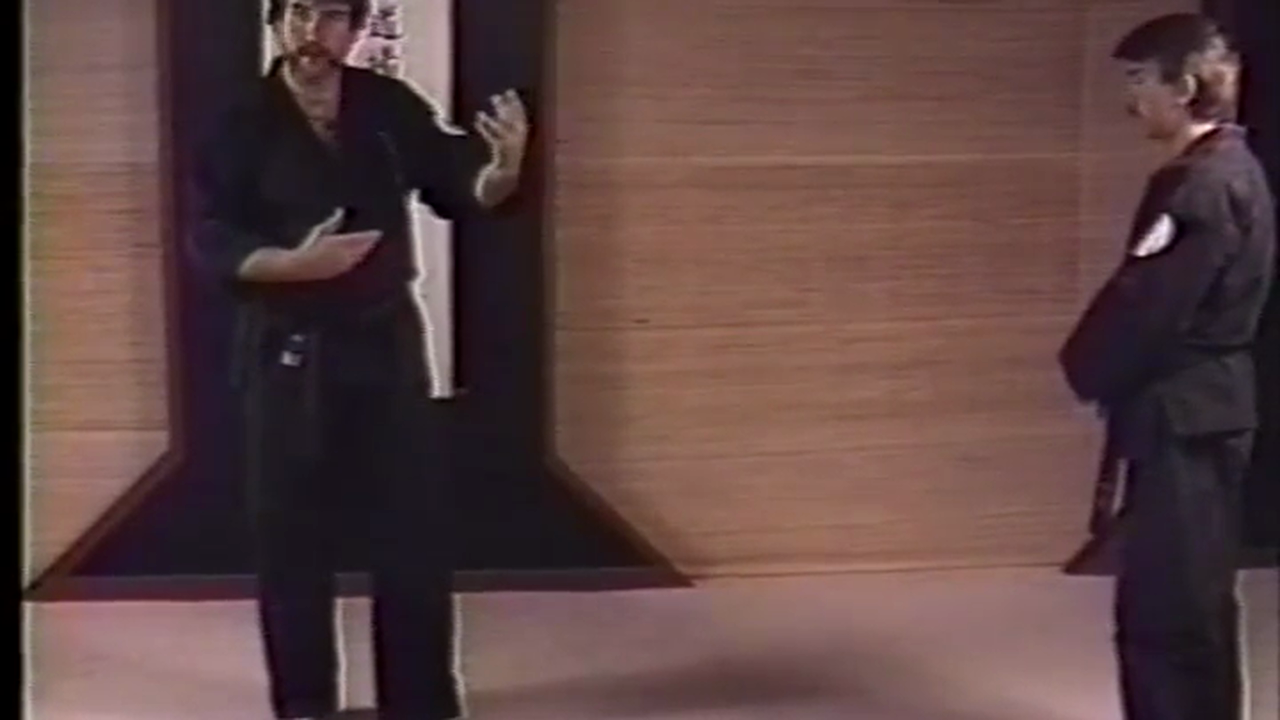 Introduction to Kosho Ryu