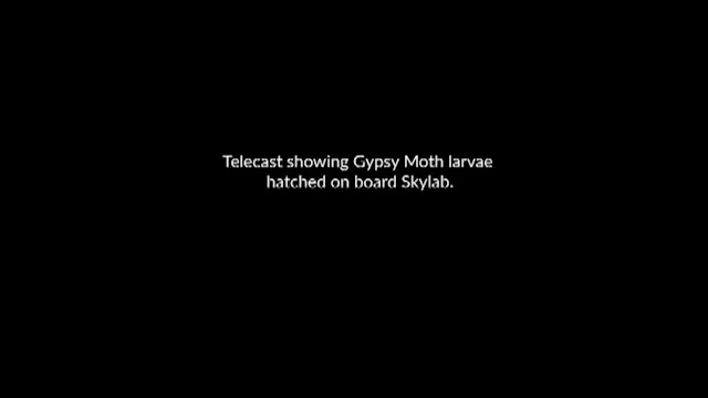 DOY352 TV-120 Gypsy Moth