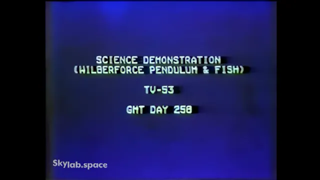 Movie_06_(DOY258_TV 53_pendulum_fish)