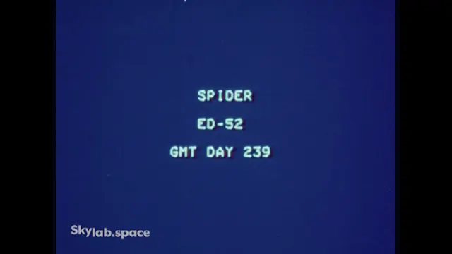 Movie_02_(DOY239_Spider)