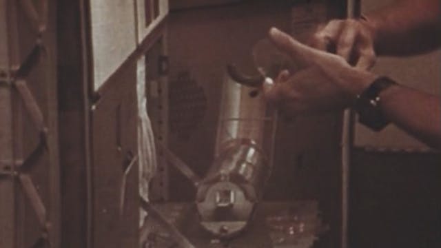 DOY-166 Bacteria and Spores