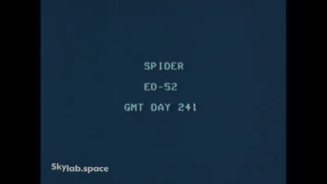 Movie_06_(DOY241_Spider)