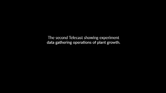 DOY013 TV-68 Plant Growth