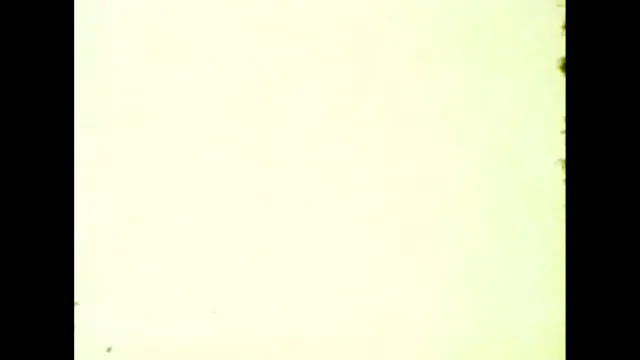 Movie_06_(DOY231_Day Off_Haircut_ Shower_230alsoOTW)