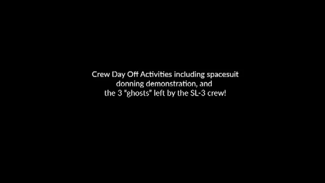 DOY345 TV-81-2 Day Off