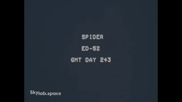 Movie_08_(DOY243_Spider ED-52)