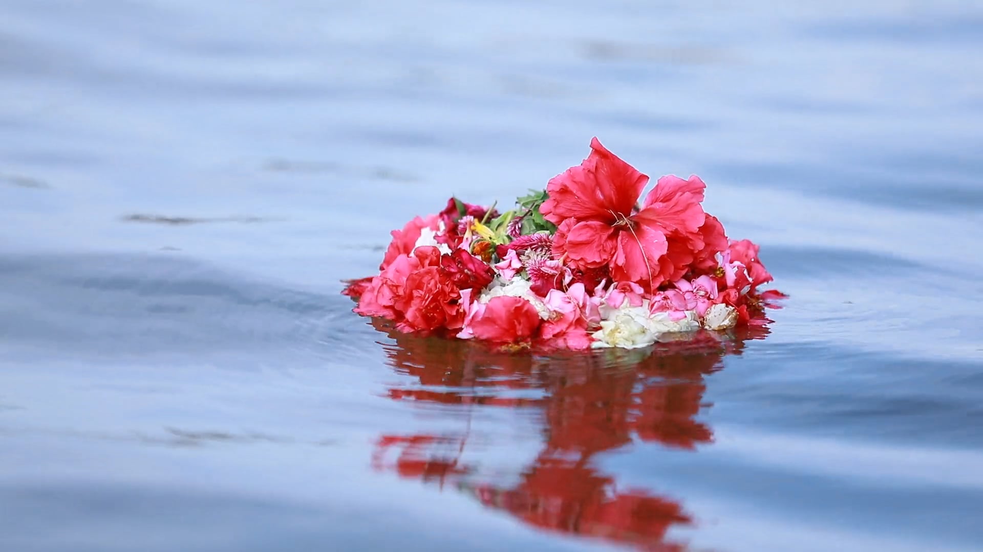 production ID_3762822