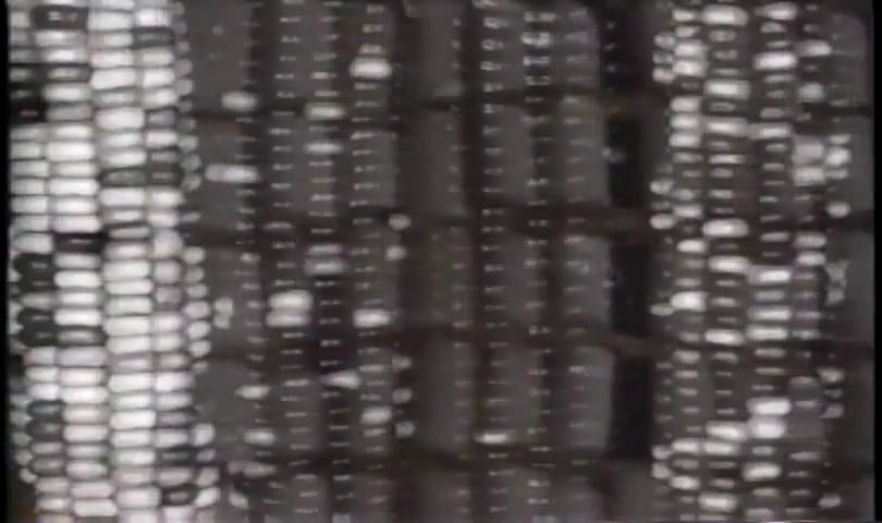 Alex Jacobs reads "The Law is the Seed"