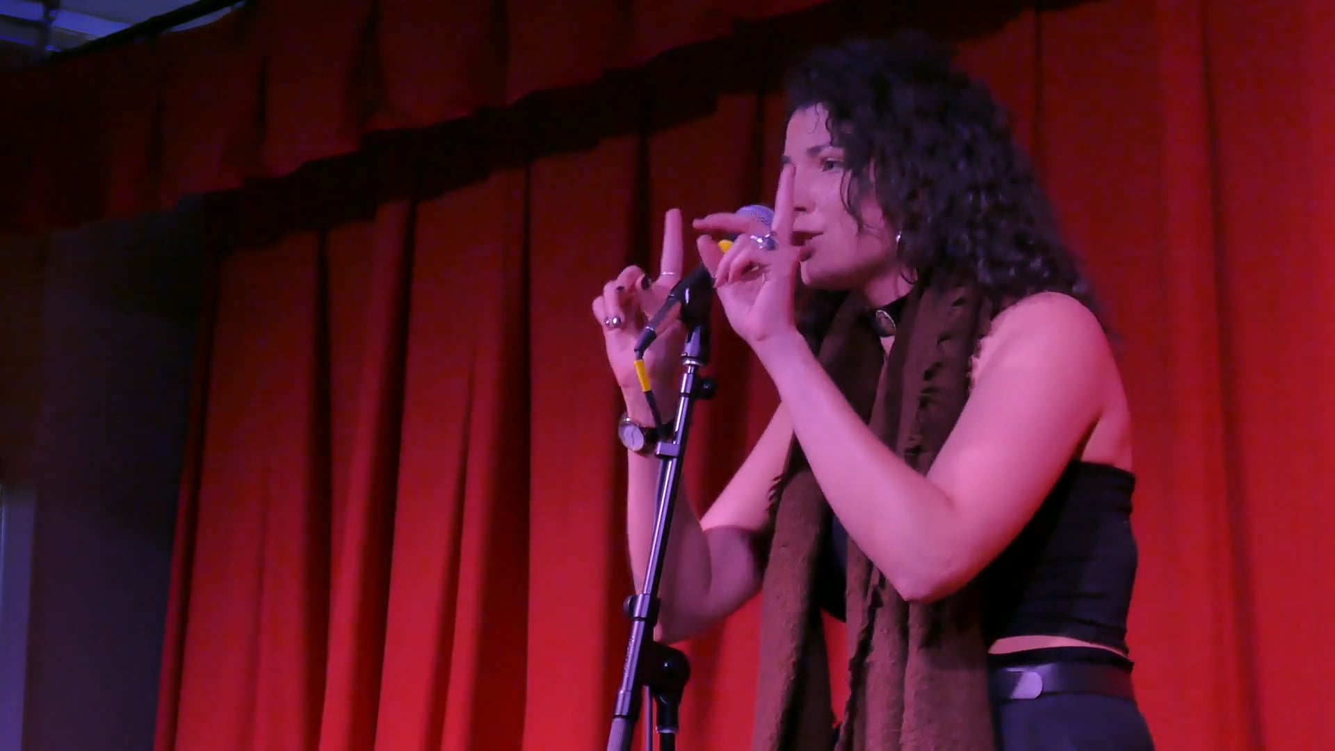 Angelica Maria Aguilera - “The Star Spanglish Banner”