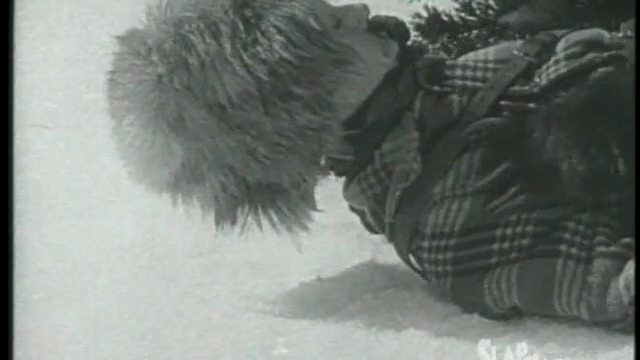 SlapHappy Collection: The Fun Factory