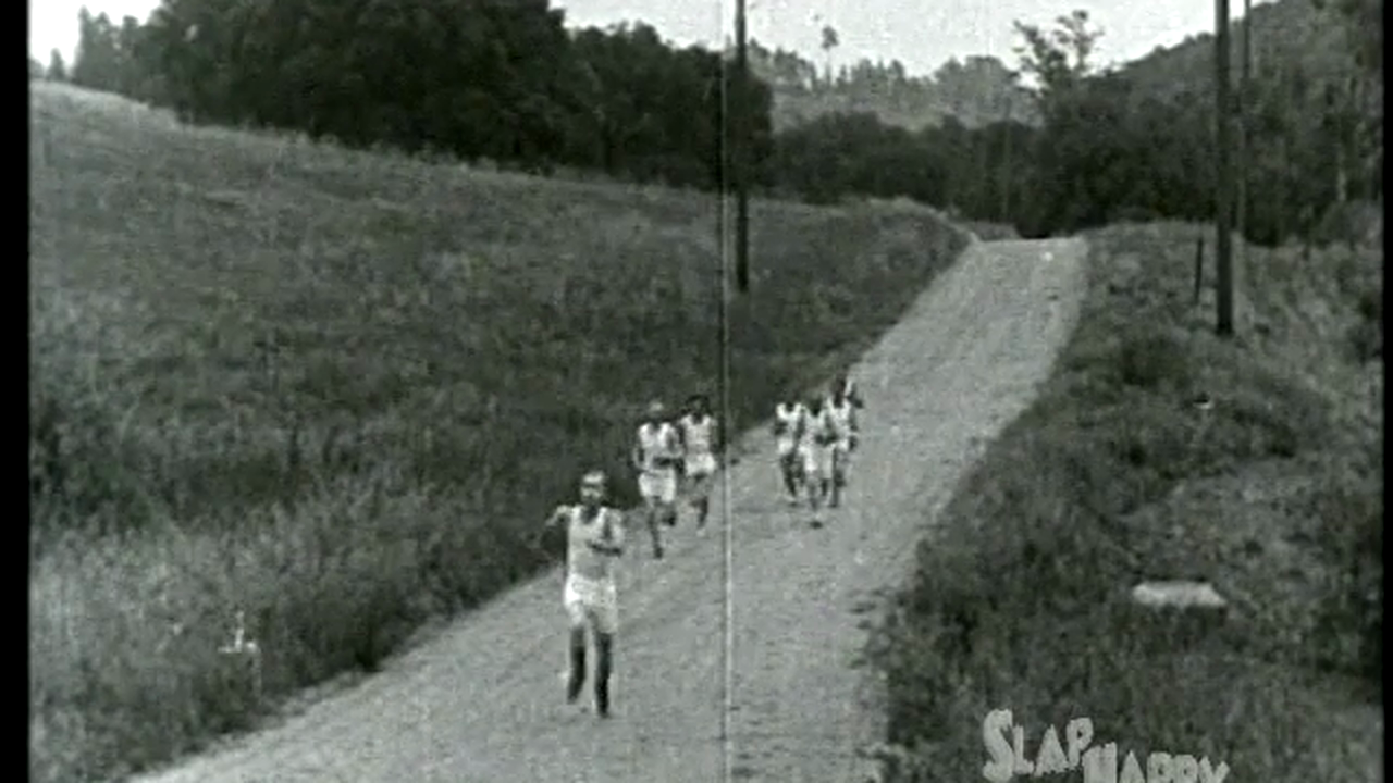 SlapHappy Collection: Educational Studios