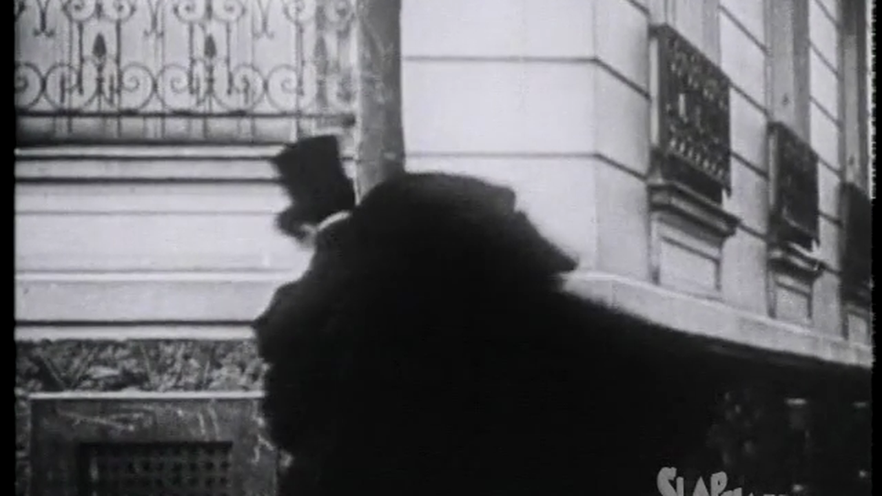 SlapHappy Collection: More Funshops