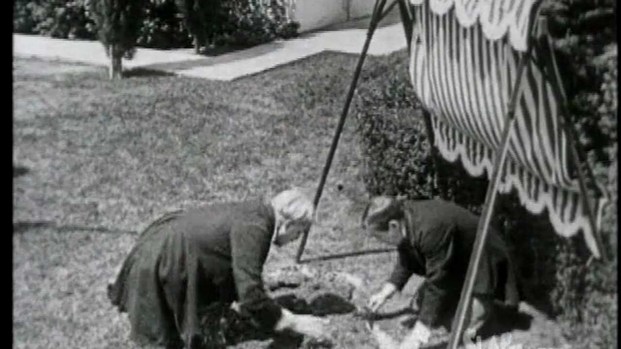 SlapHappy Collection: Getting the Girl