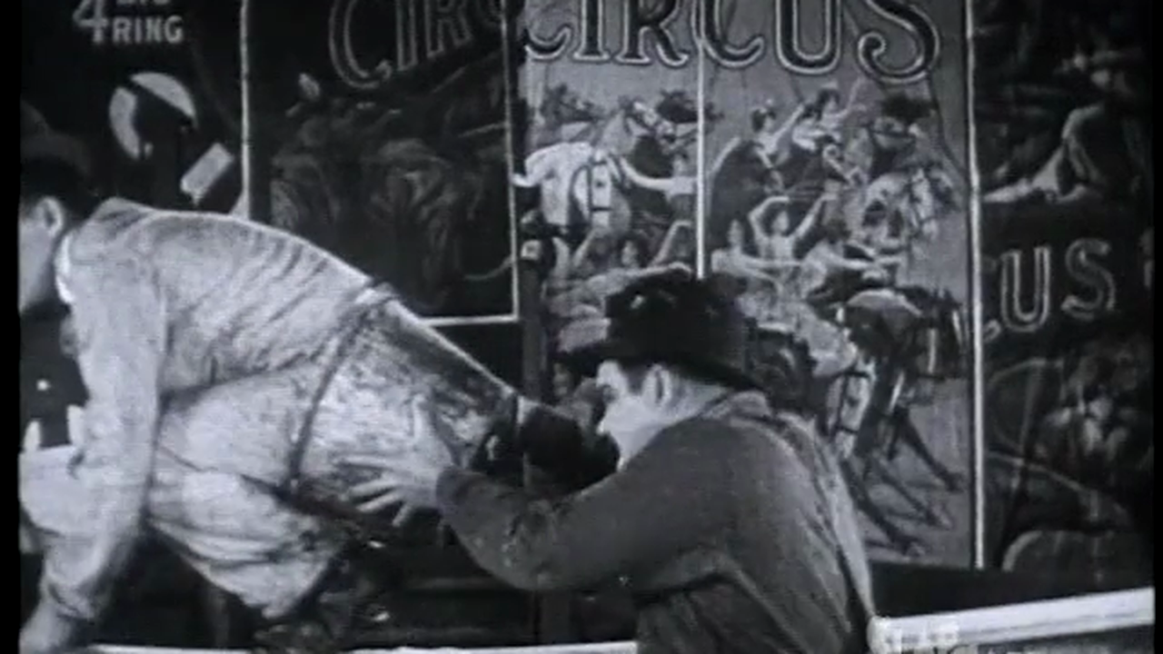 SlapHappy Collection: Stan and Ollie Before The Boys