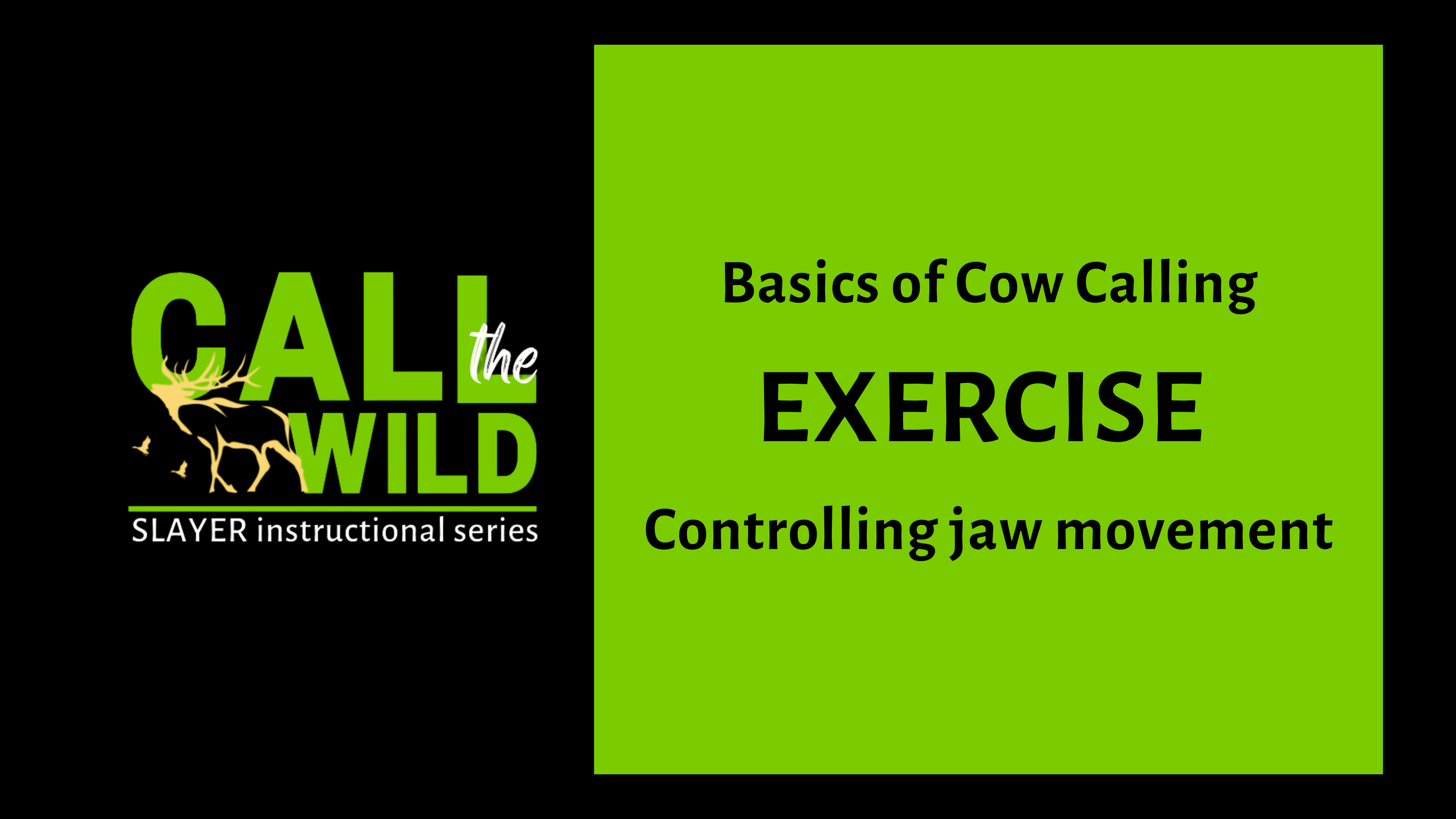 Exercise | Basic Cow Call