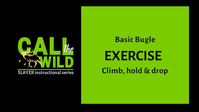 Exercise | Basic Bugle