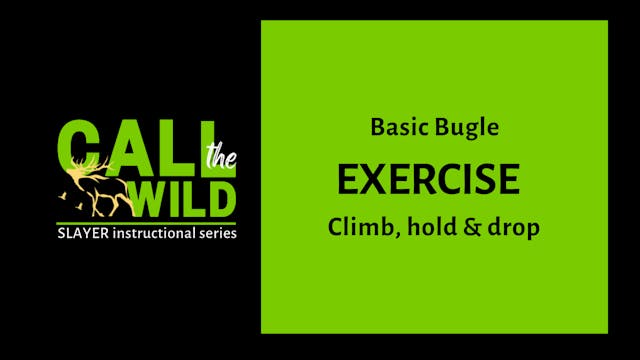 Exercise | Basic Bugle
