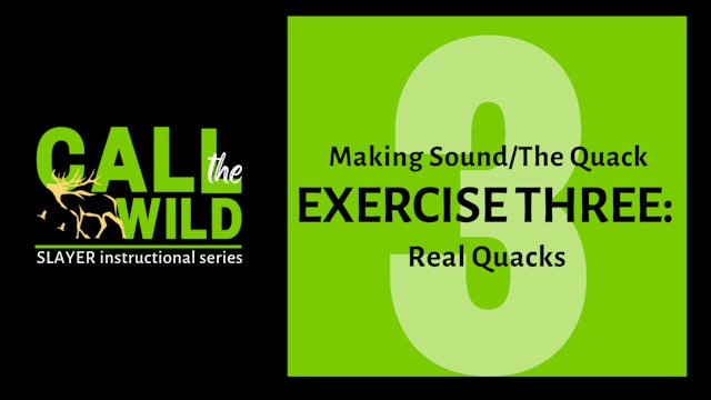 Episode 6 : Exercise THREE