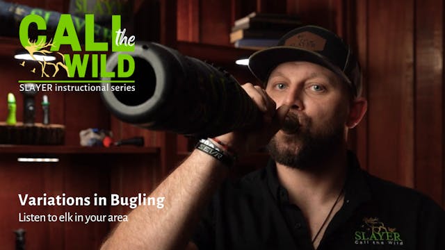 Variations in Bugling