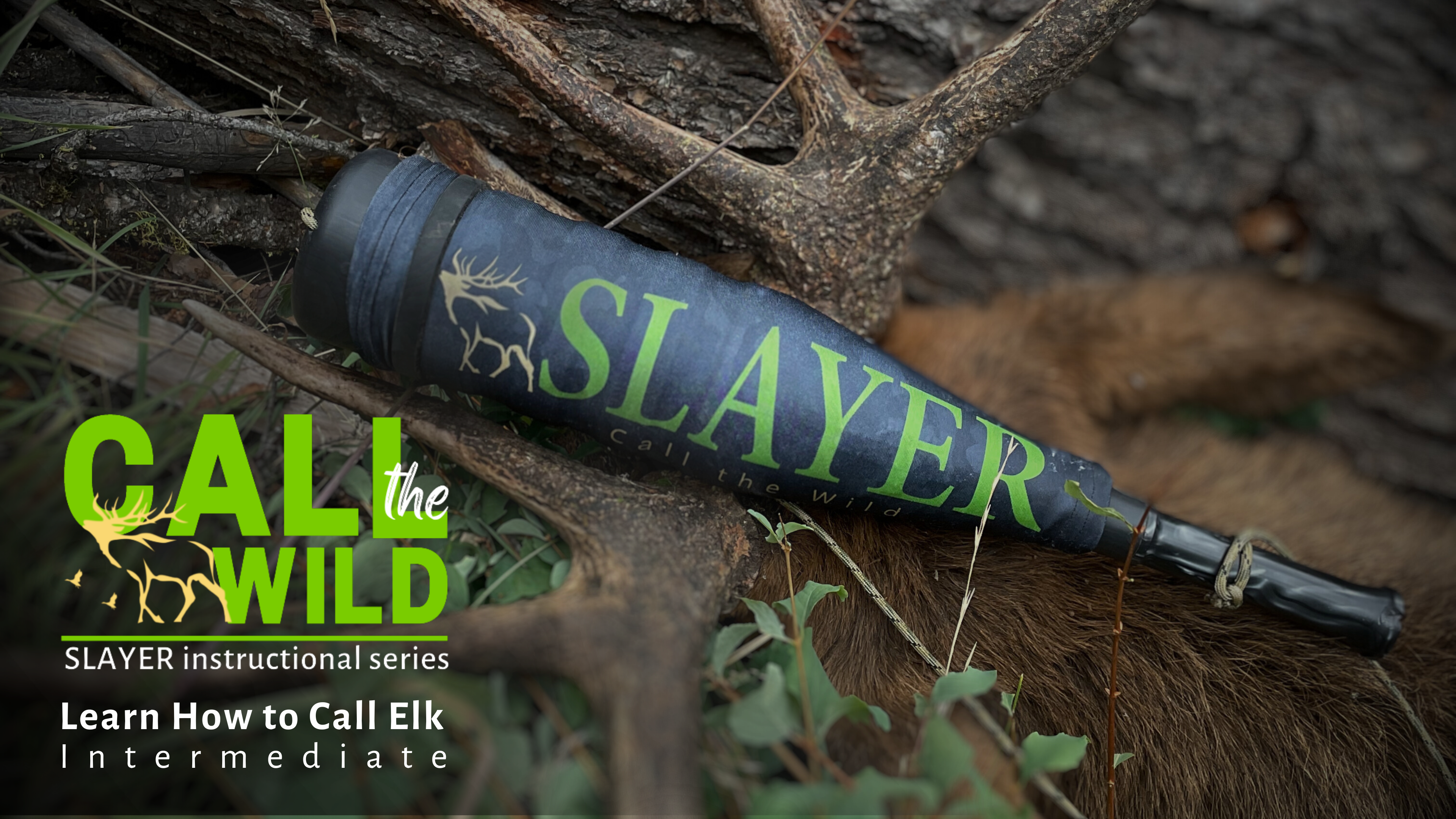 Learn How to Call Elk, Intermediate Series