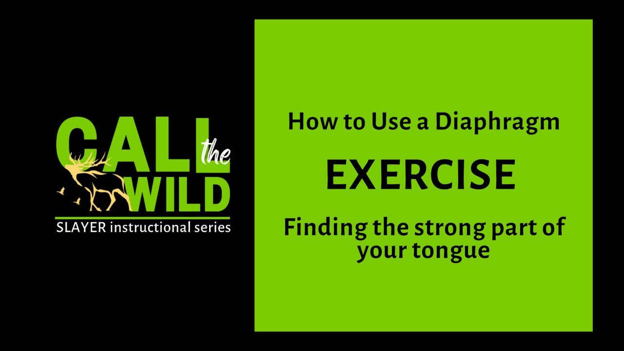 Exercise How to Use a Diaphragm Learn How to Call Elk, Beginner
