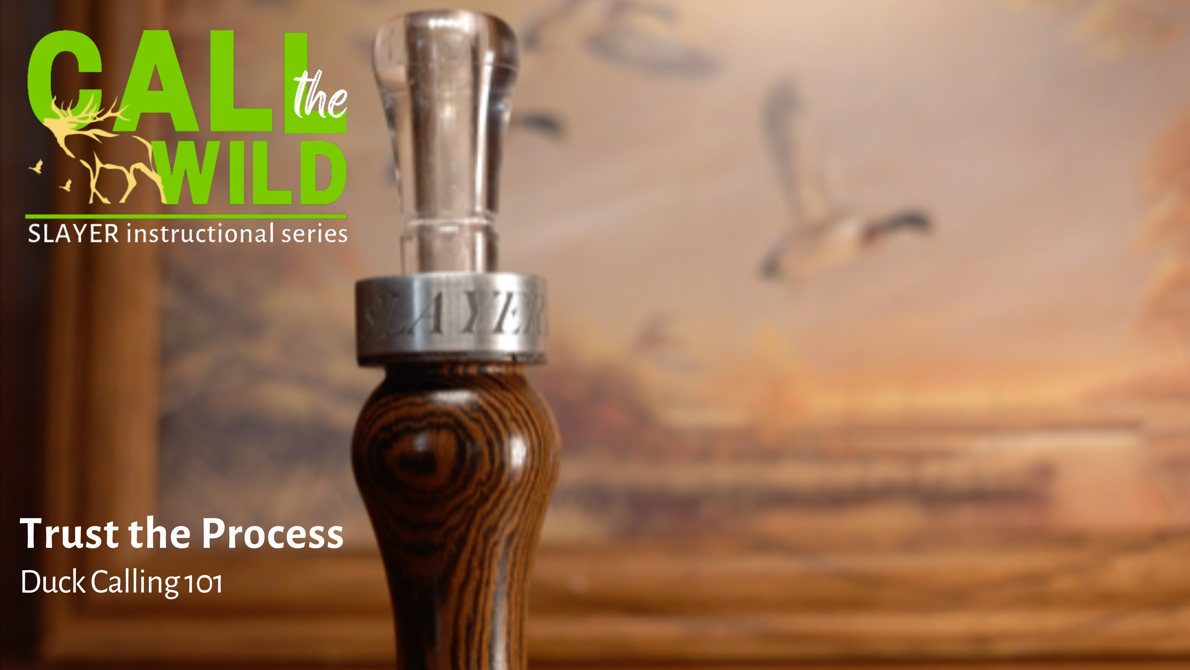 Episode 1 : Trust the process