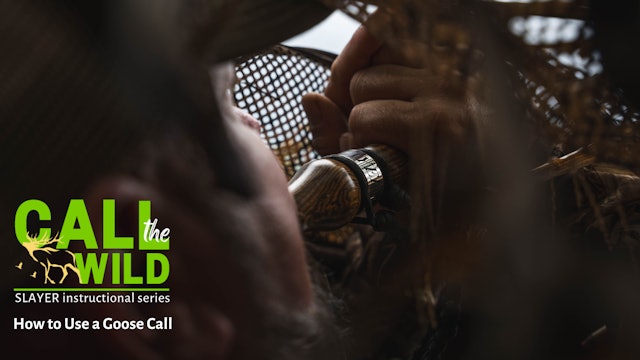 Learn How to Use a Goose Call