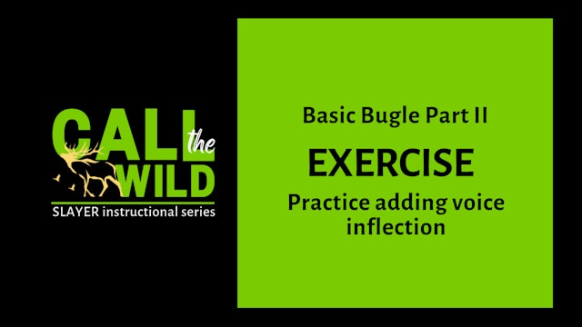 Exercise | Basic Bugle Part II
