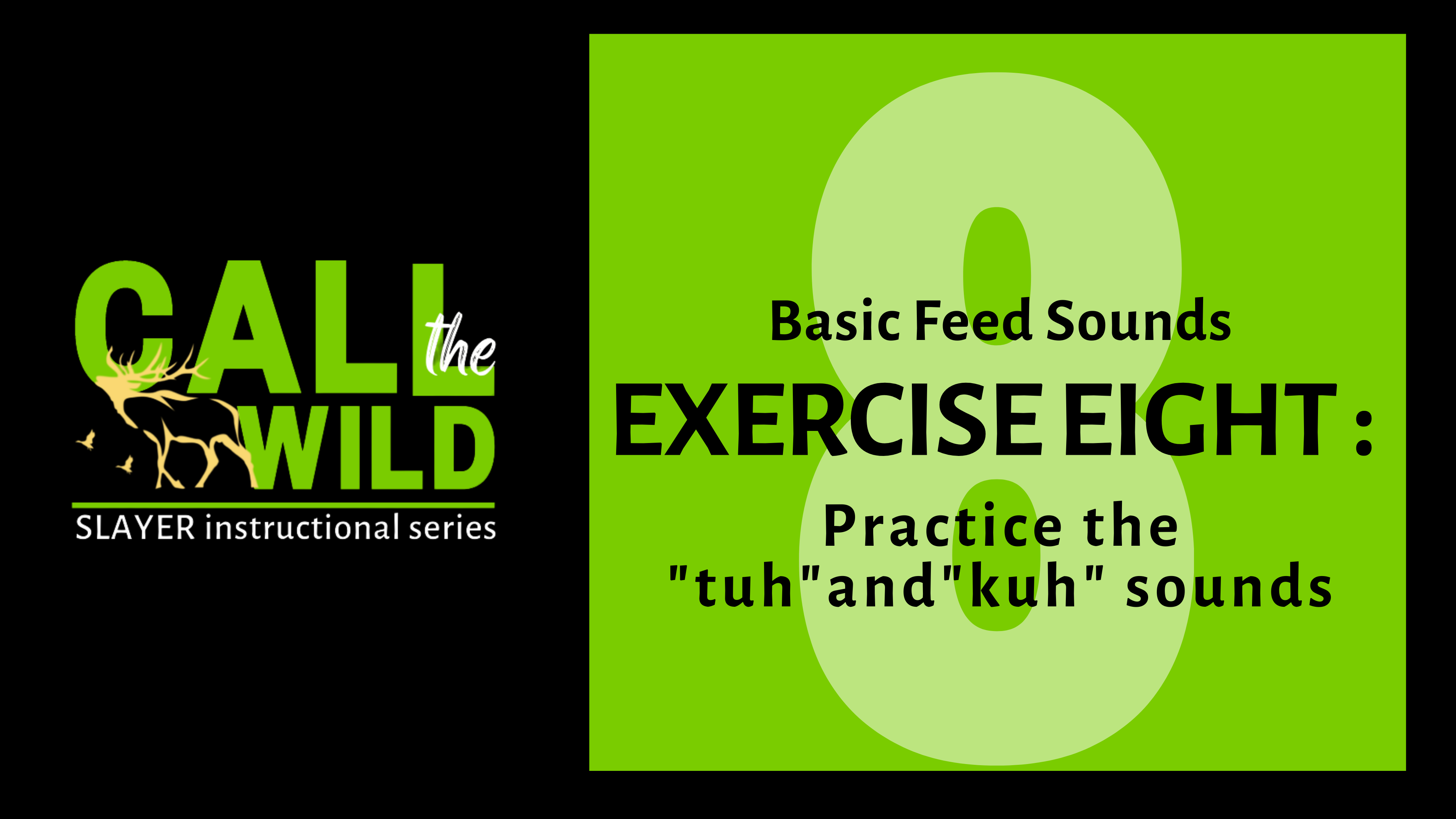 Episode 14 : Exercise EIGHT