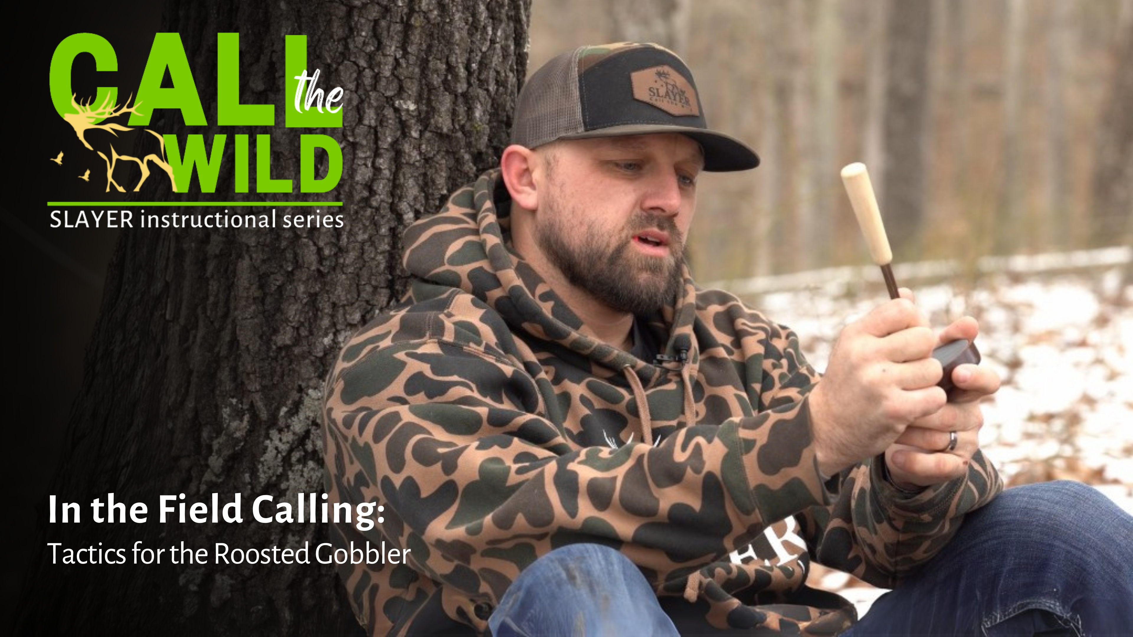 In the Field Calling Tactics for the Roosted Gobbler