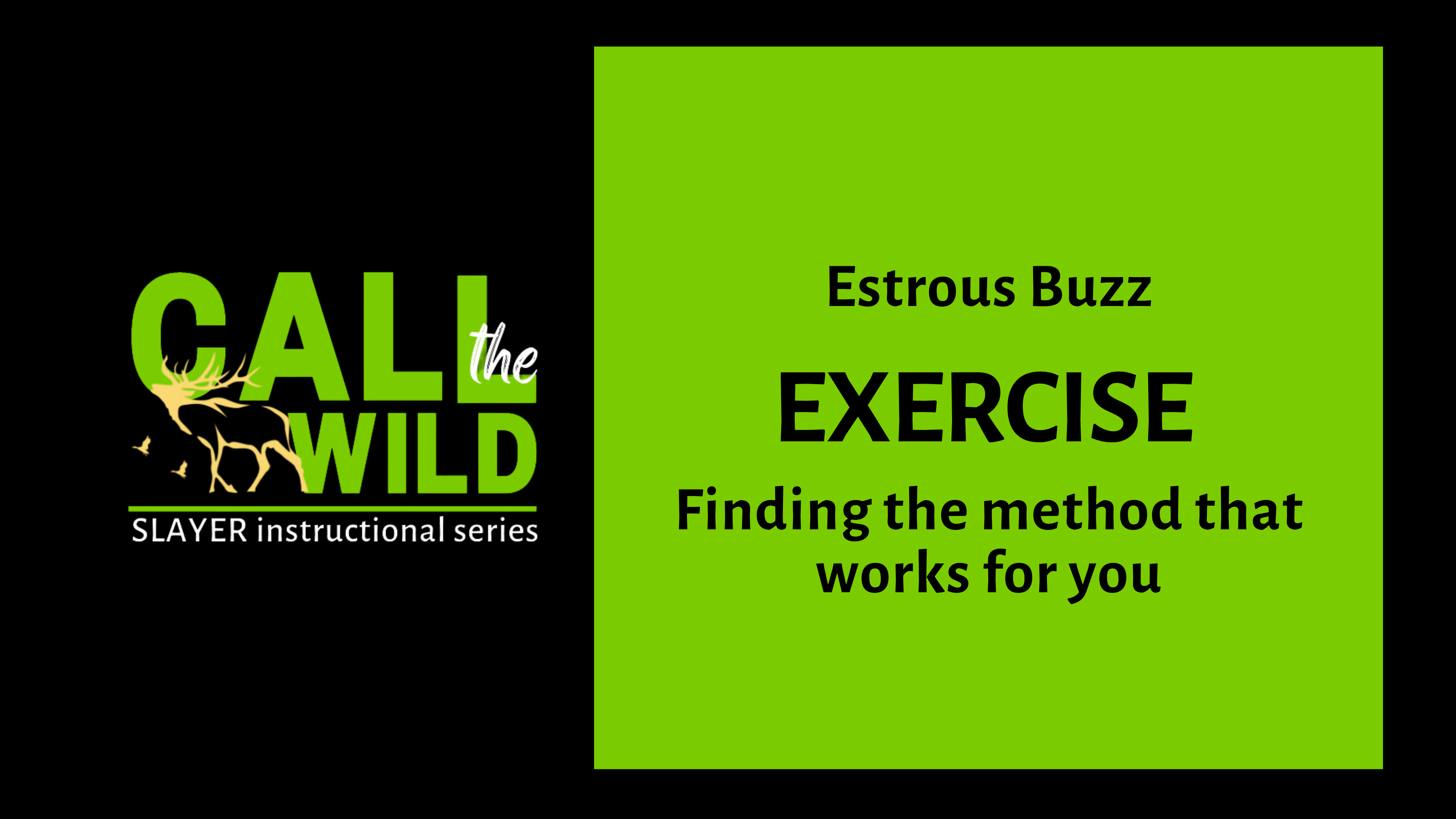 Exercise | Estrous Buzz