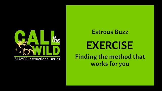 Exercise | Estrous Buzz