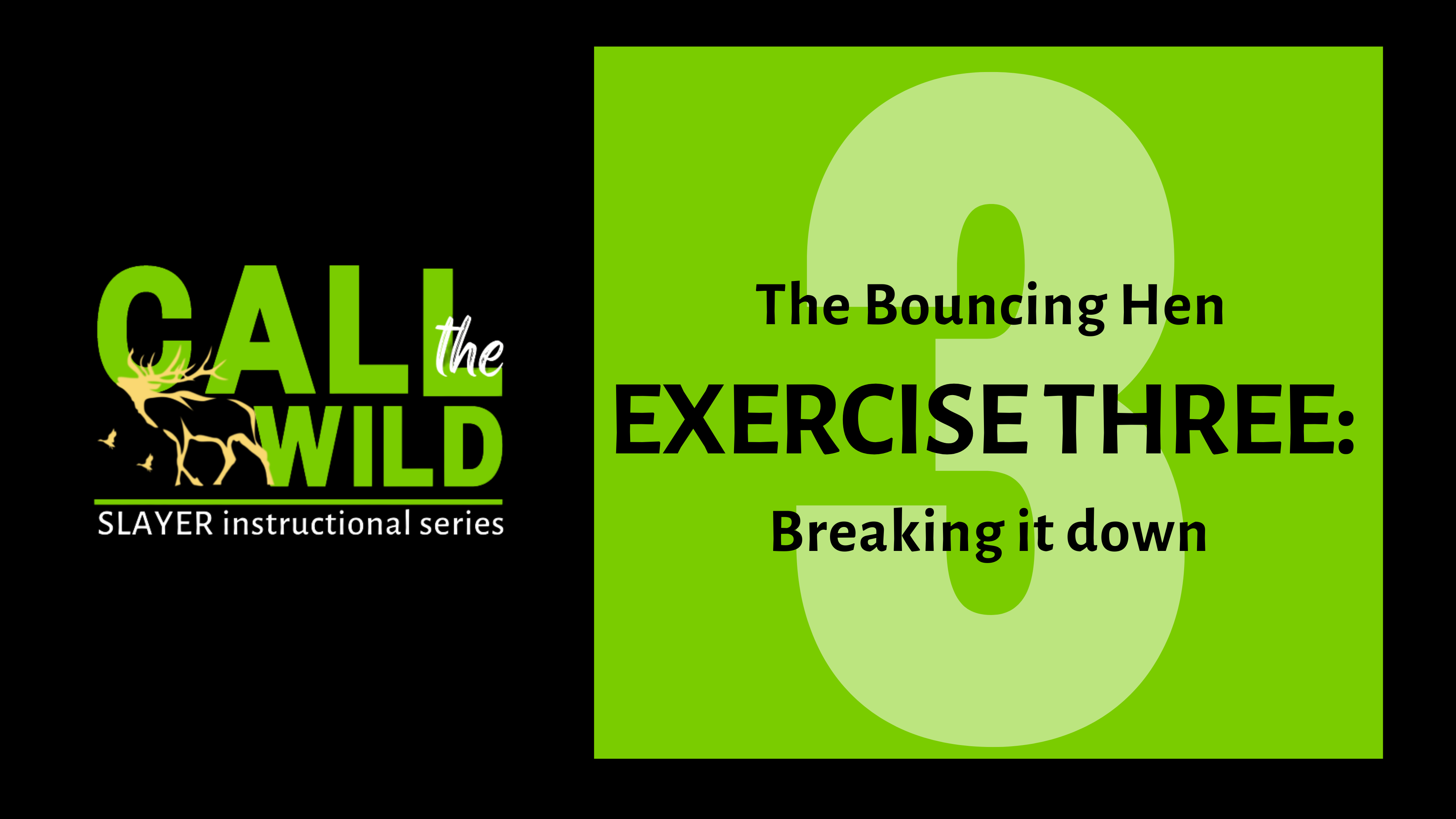 Exercise Three: The Bouncing Hen