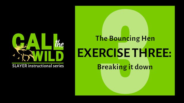 Exercise Three: The Bouncing Hen