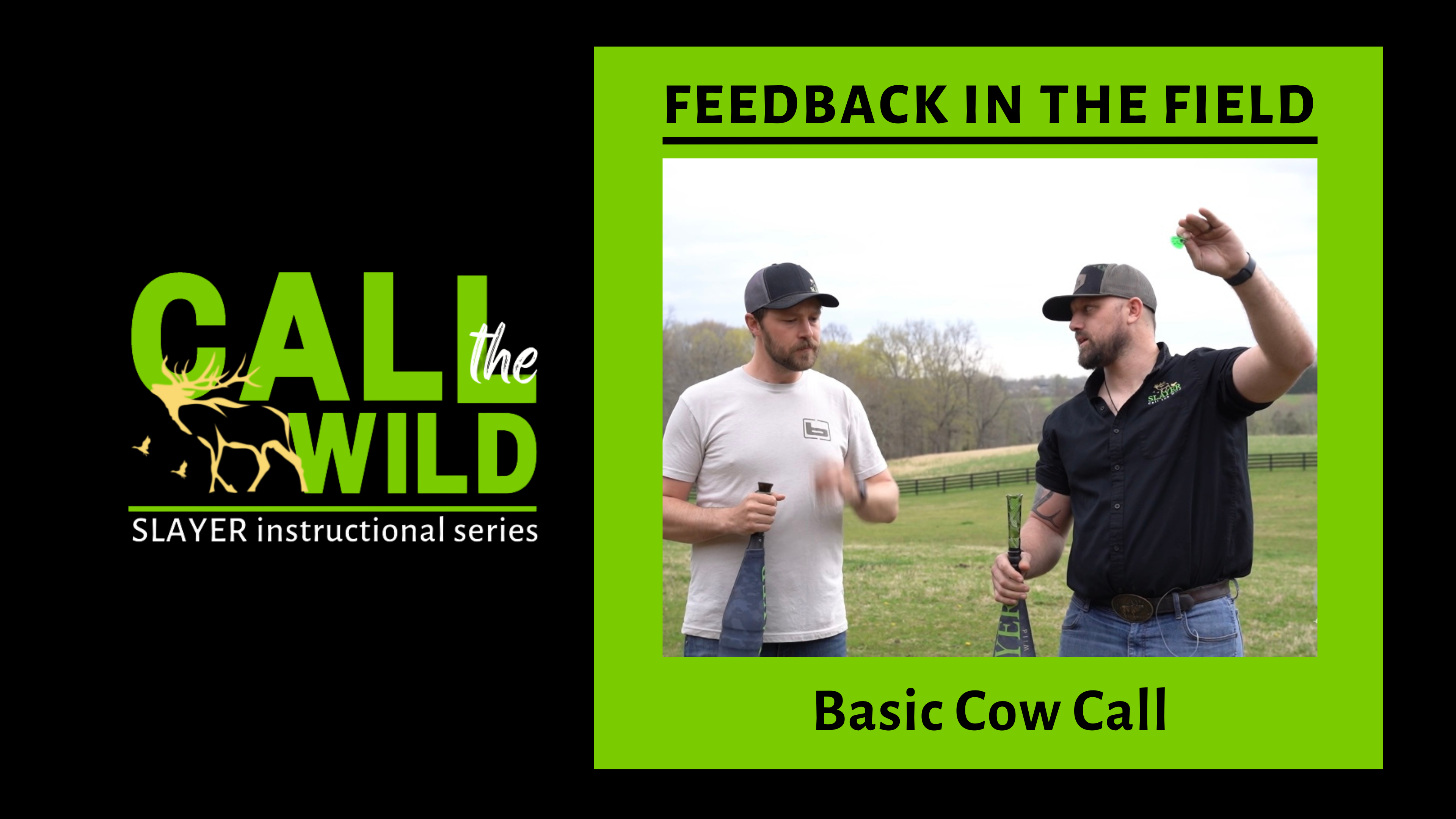 Feedback in the Field | Basic Cow Call