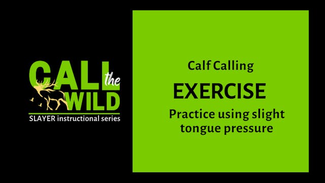 Exercise | Calf Calls