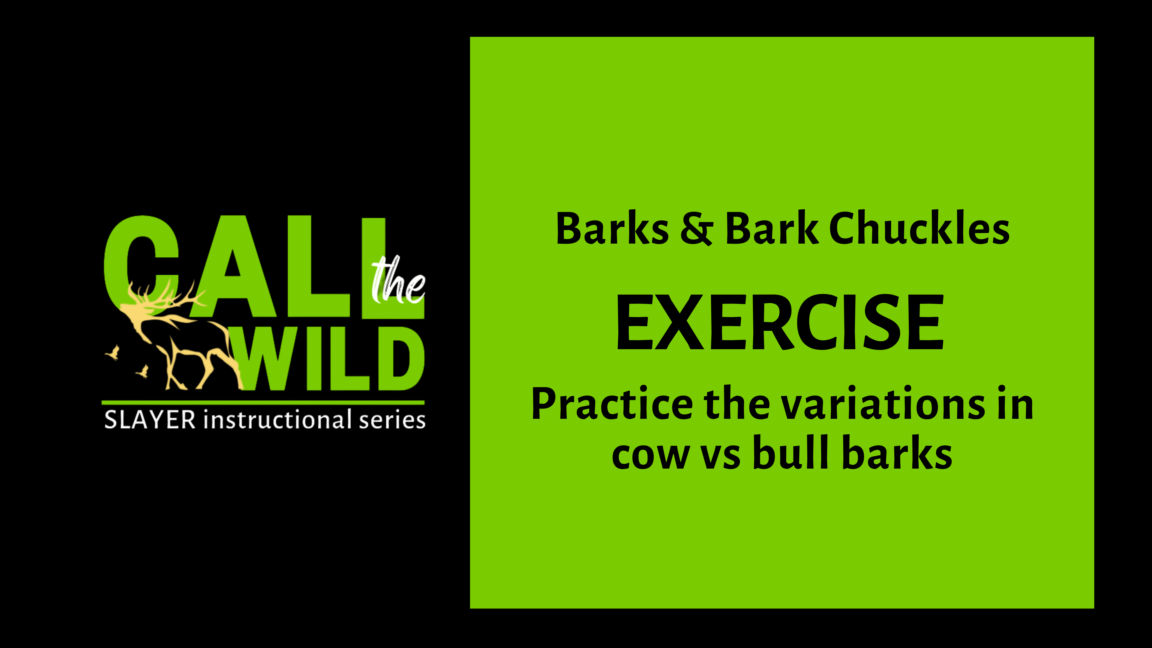 Exercise | Barks and Bark Chuckle