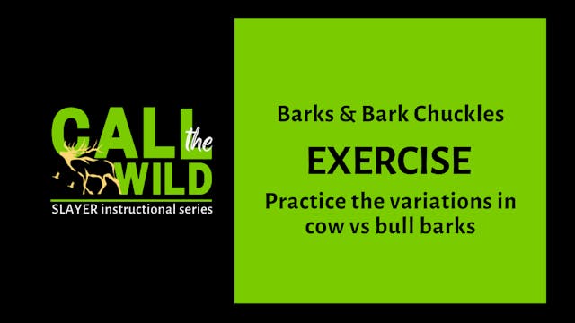 Exercise | Barks and Bark Chuckle