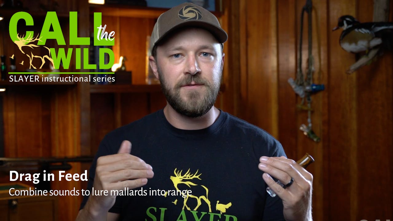 Episode 17 : Drag in feed - How To Use a Duck Call - Call the Wild by ...