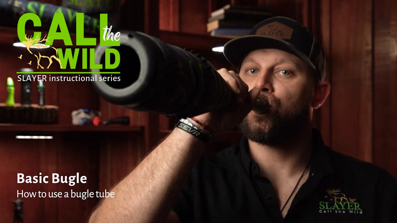 Basic Bugle Learn How to Call Elk, Beginner Series Call the Wild by