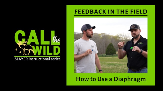 Feedback in the Field | Climb the Staircase