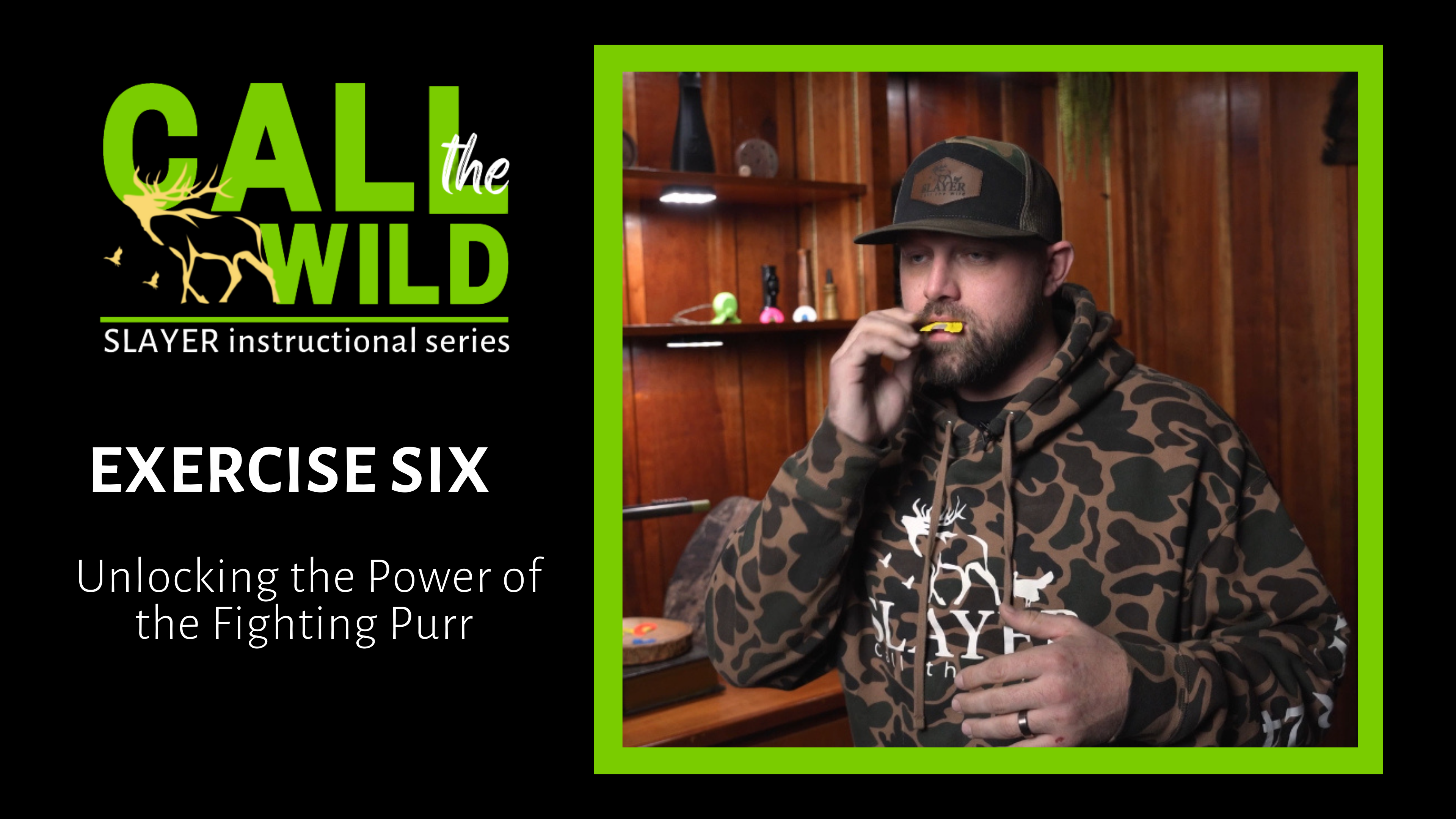 Exercise 9: Unlocking the Power of the Fighting Purr 