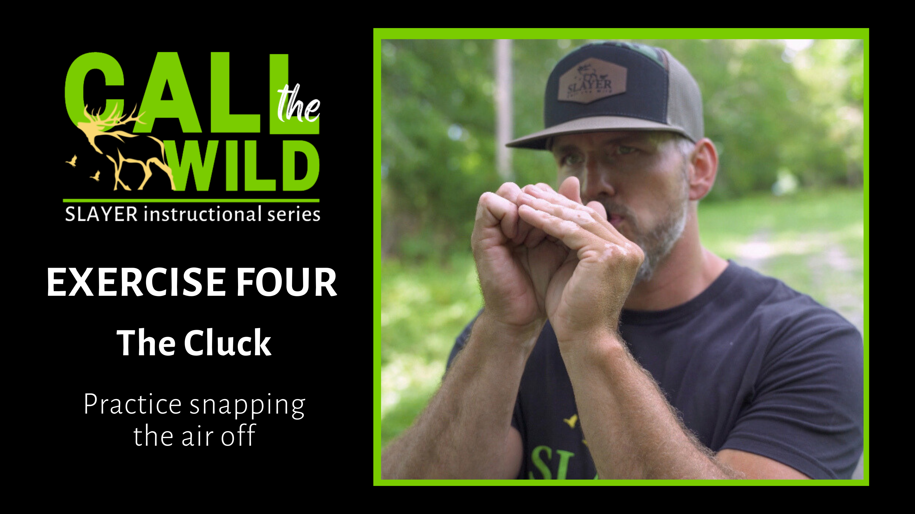 Exercise | The Cluck